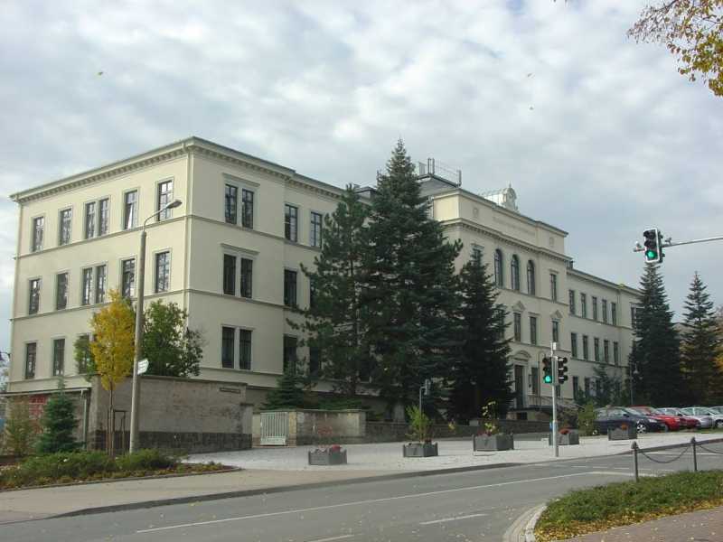 TMG800