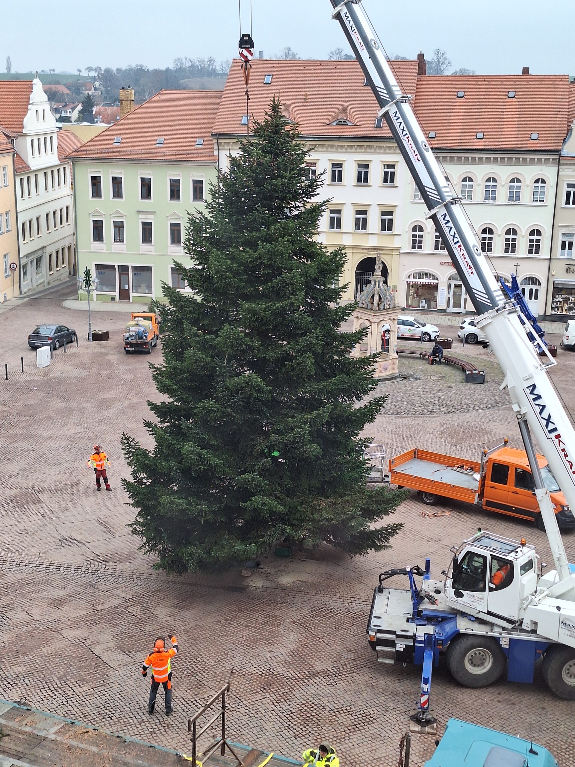 Der Weihnachtsbaum ist da!